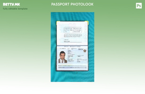 Шаблон за изглед на фотографија од пасош на Јужна Кореја во модерен стил